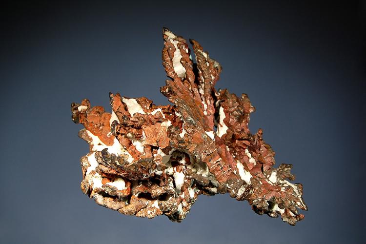 0644 Copper.jpg