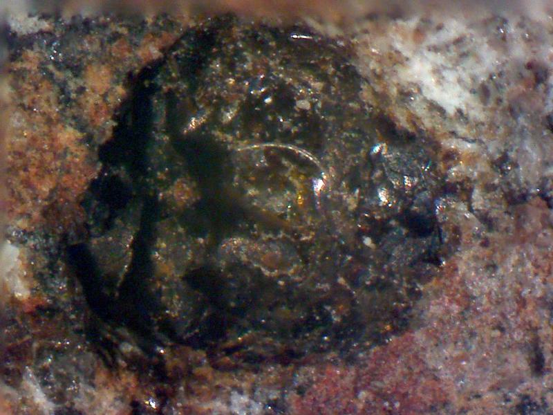basalt with mineral.jpg
