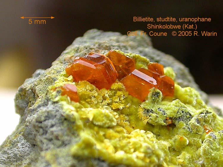 Billietite-studt5105_R.jpg