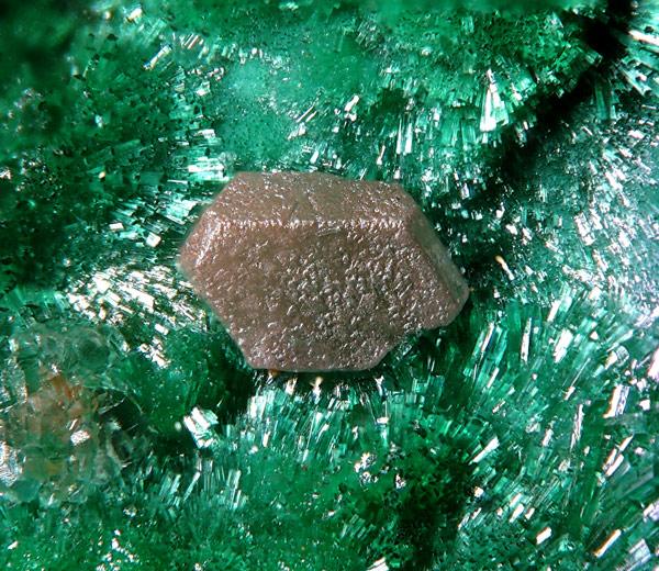 Chlorargyrite-Felisa-Mine,A.jpg