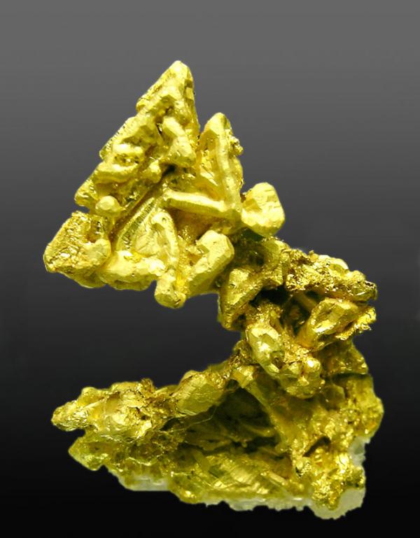 Gold - Colorado Quartz Mine Mariposa County California USA.jpg