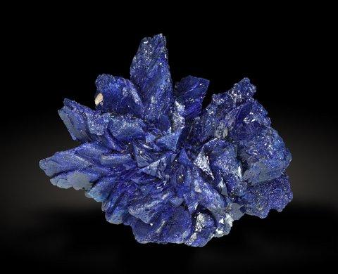 IMG_8939-Azurite-6cm-Oumjrane,Alnif,Morocco-ELlorens copia.jpg