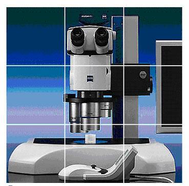 Microscope Carl Zeiss.jpg