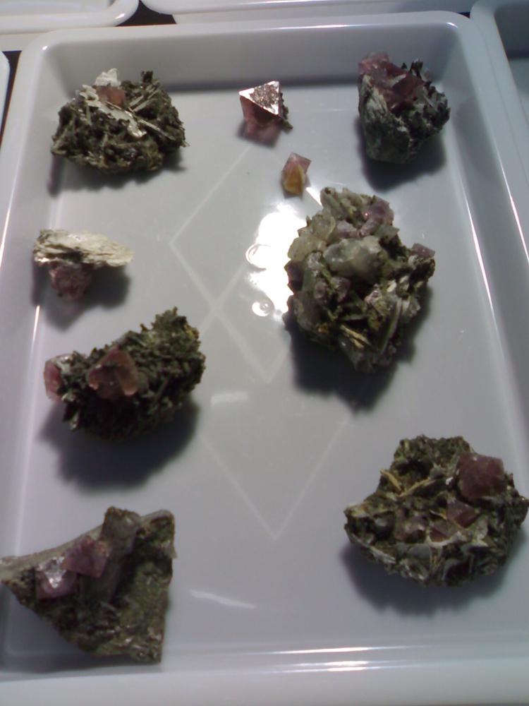 Mineralientage 2011 - Octahedral pink Fluorite - Huanggangliang Iron Mines_Inner Mongolia_China.jpg