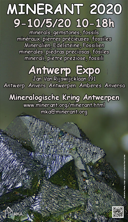 MinerAnt Antwerp 2020.jpg