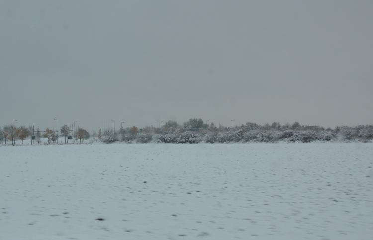Munich 2012 - Snowing 3.jpg