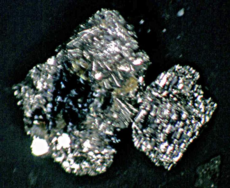 pyrite & coal x 15 M1.jpg