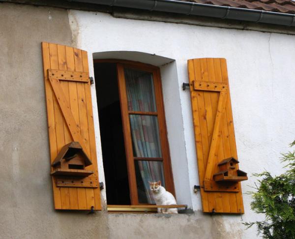 Sainte-Marie-Window-Cat.jpg