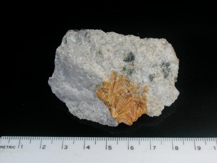 stillbite - Maryland Materials q., North East, Cecil Co. 8-6-1-2.JPG