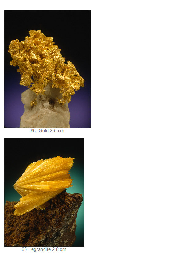 Stolen specimens from the University of California - Santa Barbara (3).jpg
