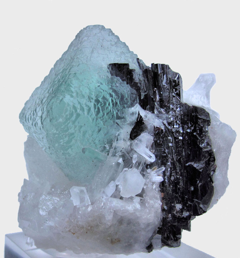 3191M-fluorite1.jpg