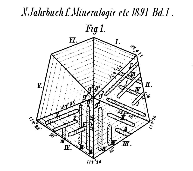 Bauer-Figure1.jpg