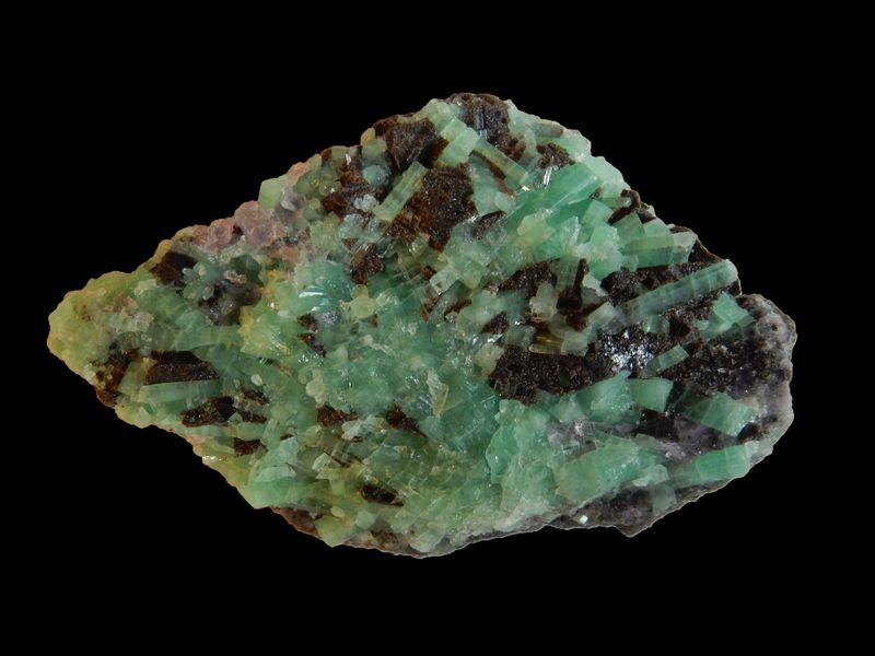 Beryl var. emerald no 185 - FMF.JPG