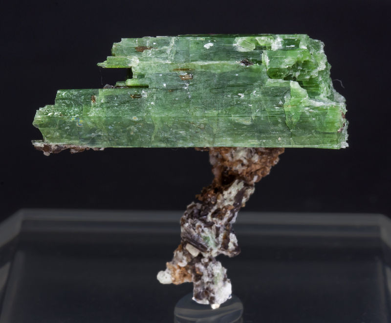 Cr-rich Tremolite with Graphite and Clinohumite - Washburn Farm_New York_USA.jpg