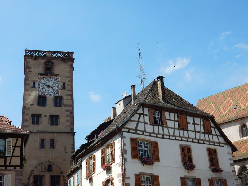 La Tour des Bouchers - Ribeauvill - Alsace.JPG