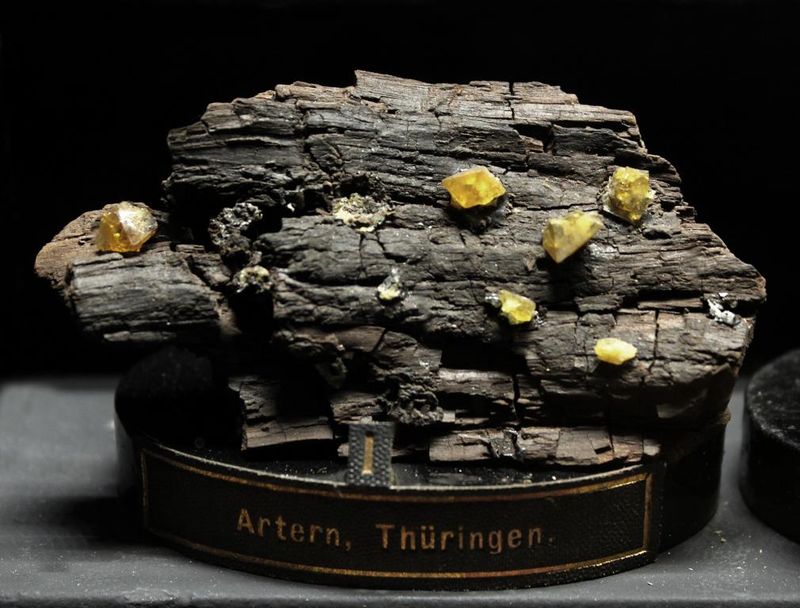 Mellit Artern Thringen ca. 7 cm IMG_1873.JPG
