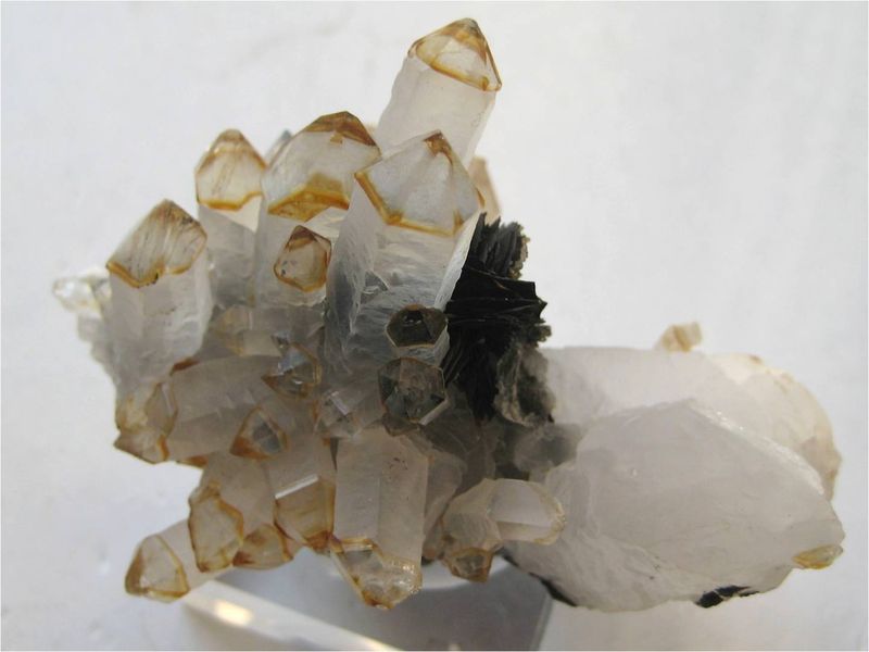 Quartz cap-scepter crystals on hematite, Jinlong hill, Longchuan, Guangdong Prov., China.jpg
