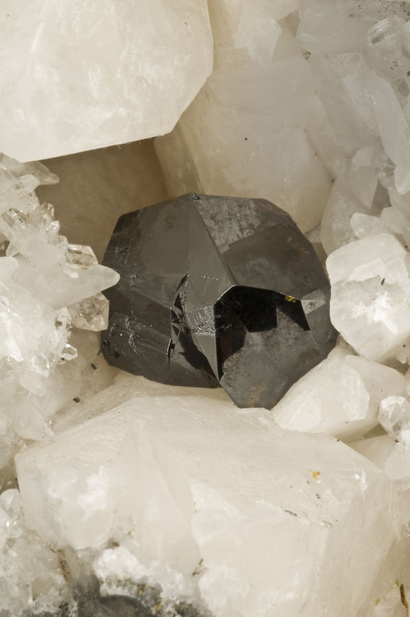 Sphaleriteoncalcite.NewYork.Scovil2013-01-0261.jpg
