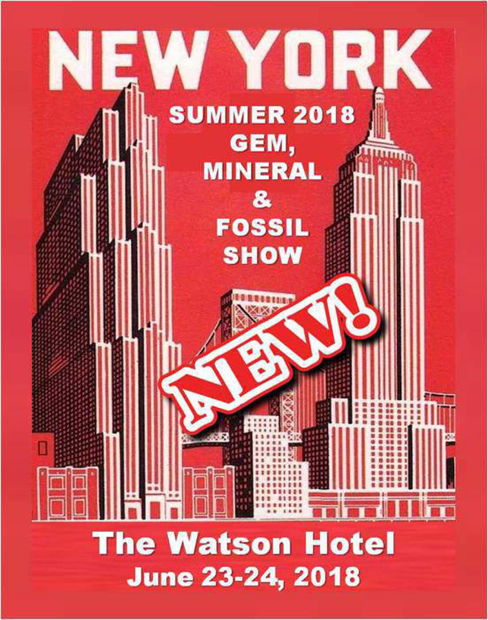 Summer New York City Mineral Show - Watson Hotel.jpg
