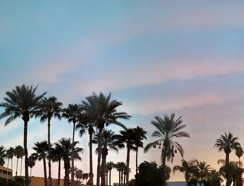 Tucson 2014 - Sunrise.jpg