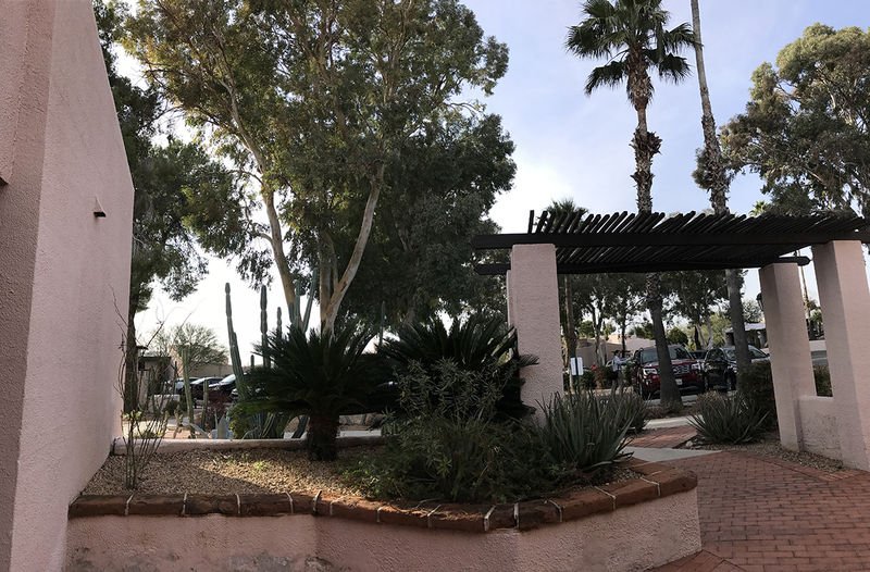 Tucson 2017 - The Westward Look (1).jpg