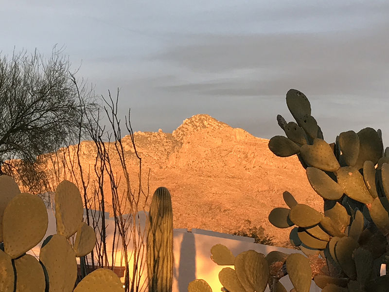 Tucson 2017 - The Westward Look (3).jpg