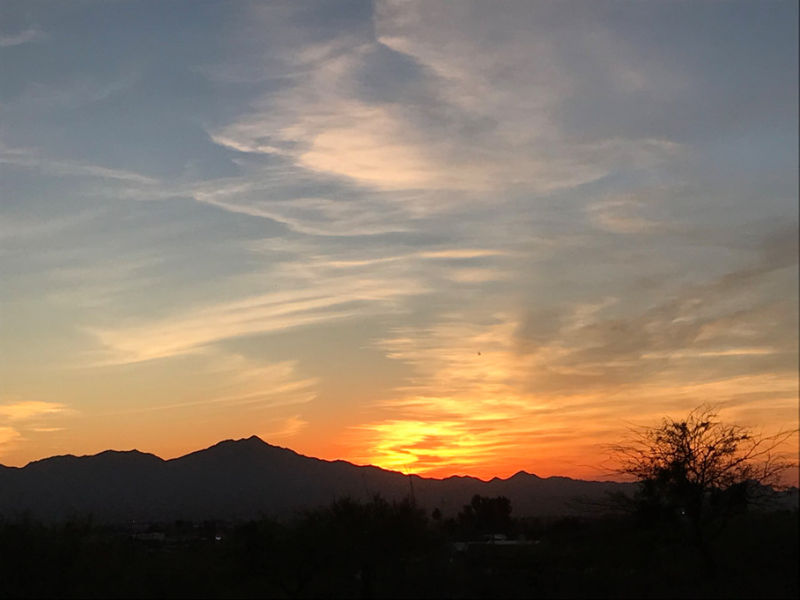 Tucson 2018 - Westward Look (2).jpg