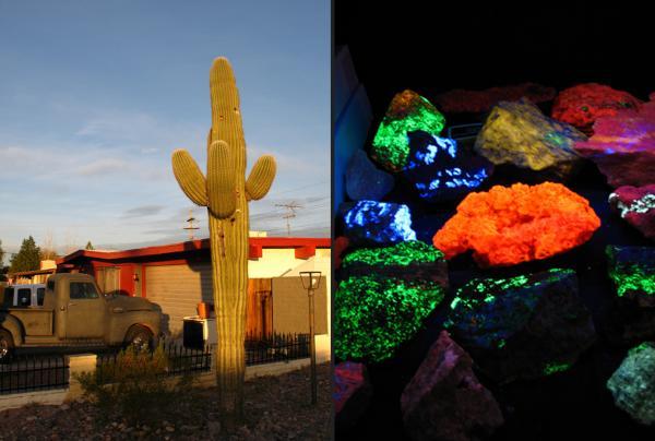 Tucson 2008 Cactus and fluorescences.jpg