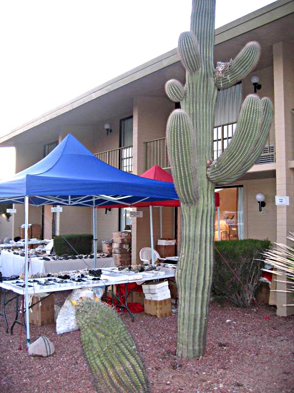 Tucson 2009 - Minerals and Cactus.jpg