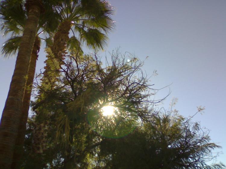 Tucson 2012 - Nice weather 1.jpg
