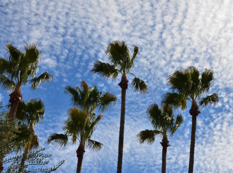 Tucson 2013 - Nice sky.jpg