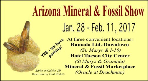 Tucson 2017- Arizona Mineral & Fossil Show.jpg