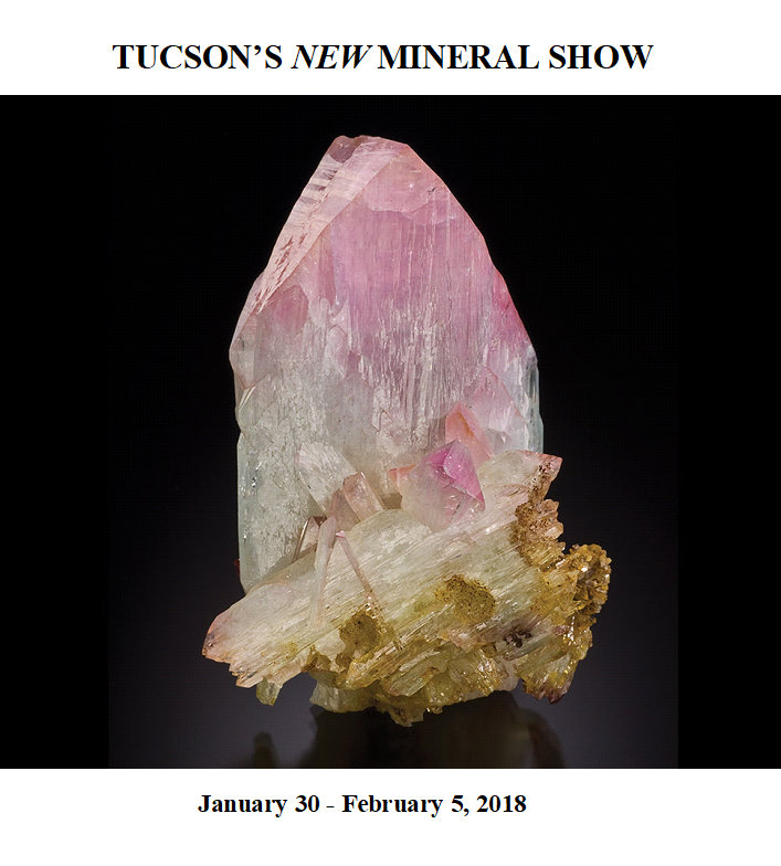 Tucson 2018 New Mineral Show.jpg